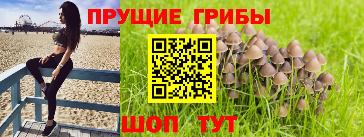 Железноводск  Галлюциногенные грибы мицелий  Вход с VPN 