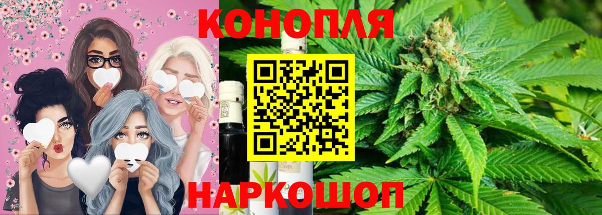 Каннабис конопля Железноводск