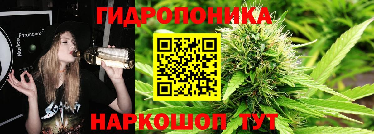 Бошки марихуана Amnesia  Каннабис индика  Железноводск  Вход с VPN  Бошки Шишки THC 21% 